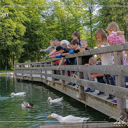Slovenia Eco Resort Stahovica Dış mekan fotoğraf