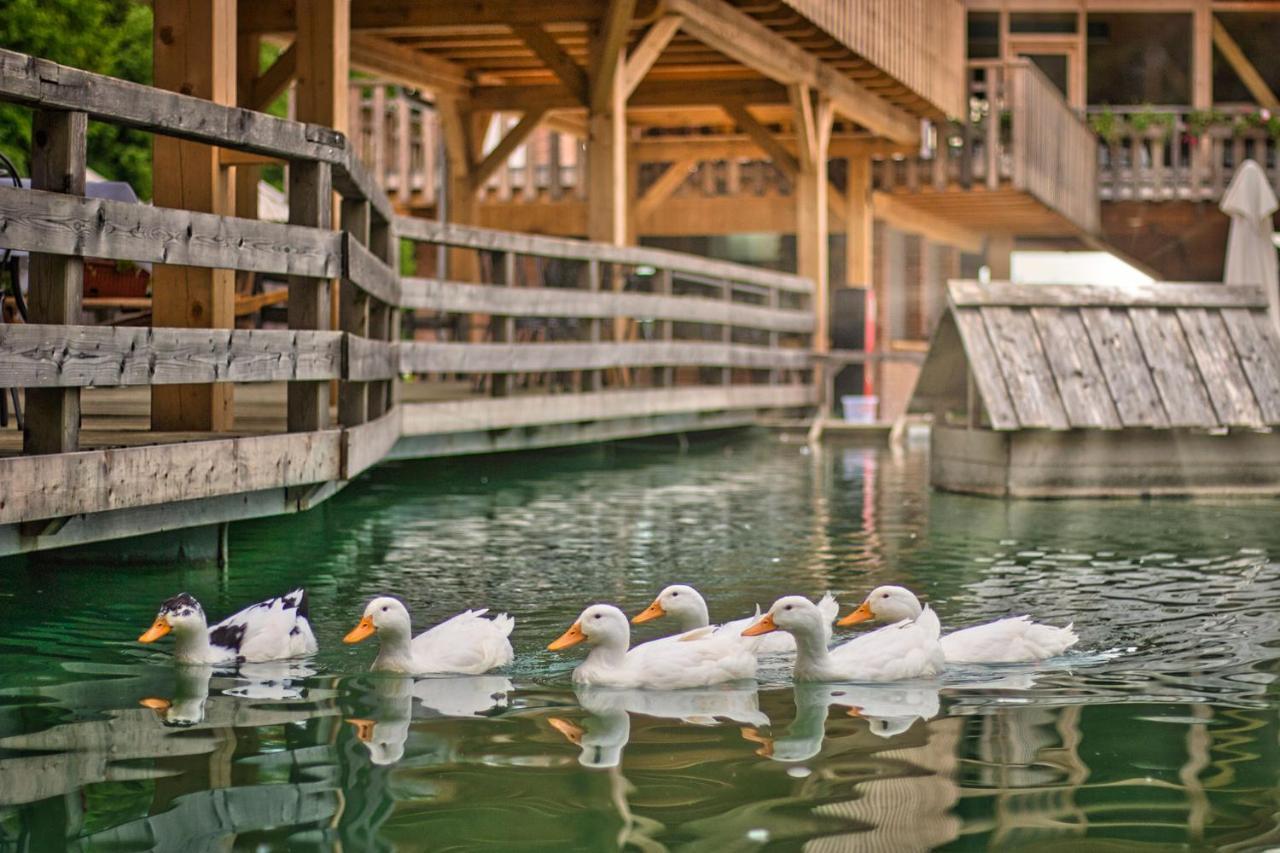 Slovenia Eco Resort Stahovica Dış mekan fotoğraf