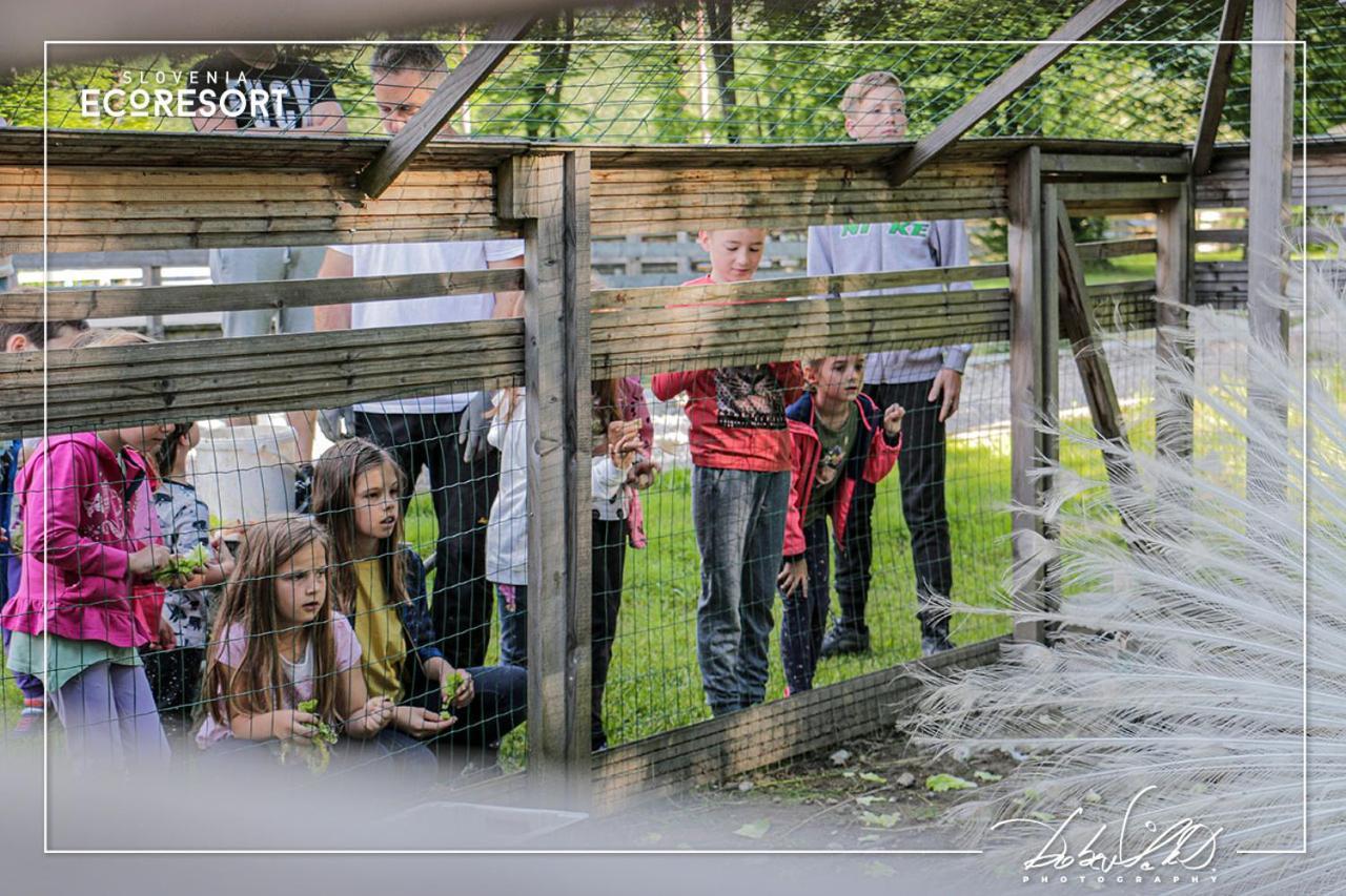 Slovenia Eco Resort Stahovica Dış mekan fotoğraf