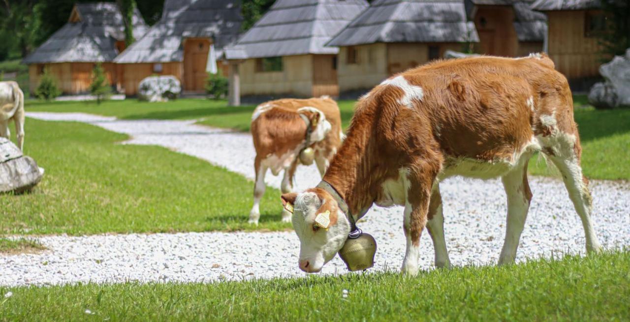 Slovenia Eco Resort Stahovica Dış mekan fotoğraf