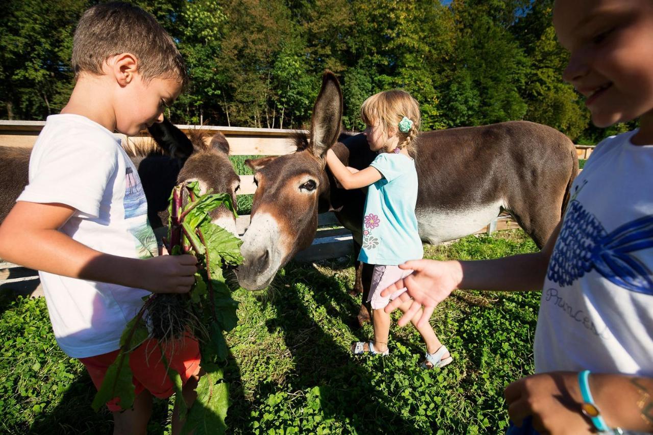 Slovenia Eco Resort Stahovica Dış mekan fotoğraf