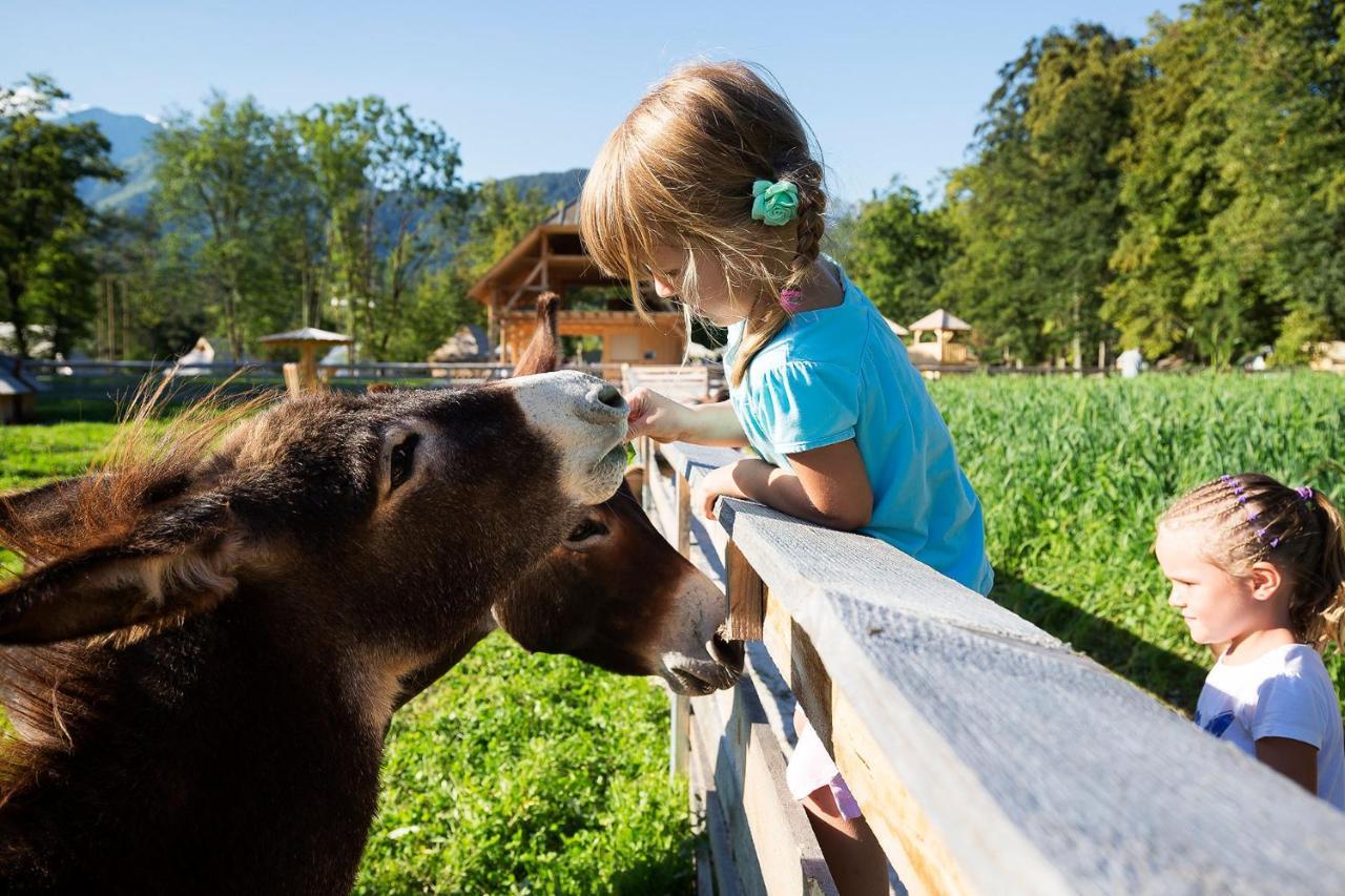 Slovenia Eco Resort Stahovica Dış mekan fotoğraf