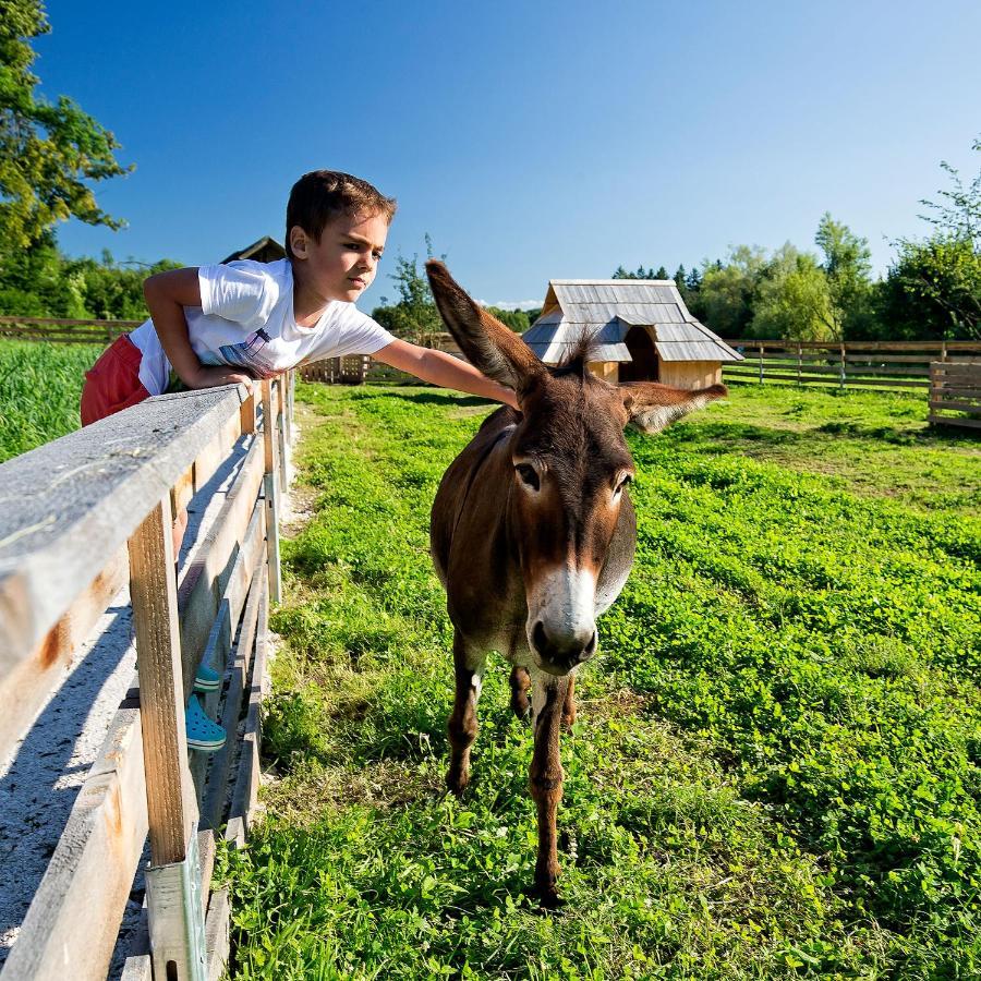 Slovenia Eco Resort Stahovica Dış mekan fotoğraf